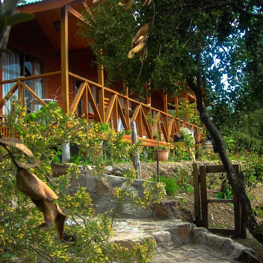 Las Lomitas De Guayacan, Cabanas Y Spa San José de Maipo Exteriör bild