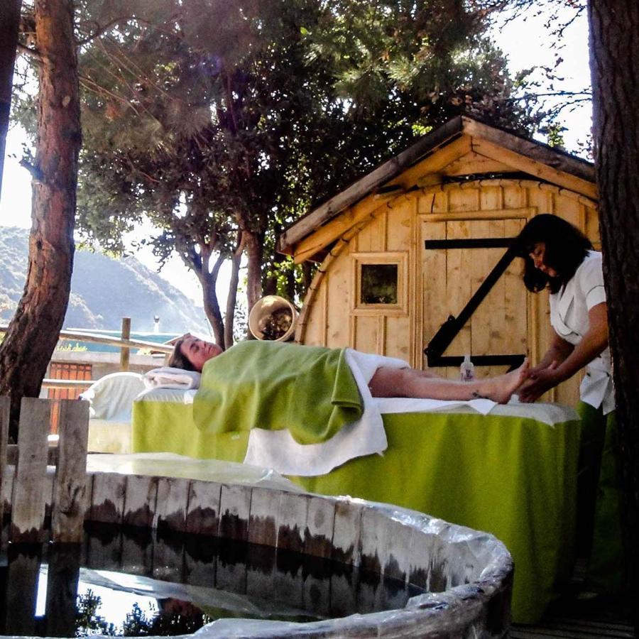 Las Lomitas De Guayacan, Cabanas Y Spa San José de Maipo Exteriör bild