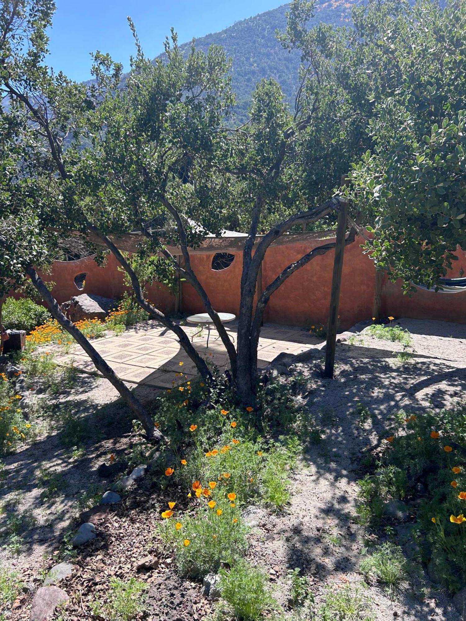 Las Lomitas De Guayacan, Cabanas Y Spa San José de Maipo Exteriör bild