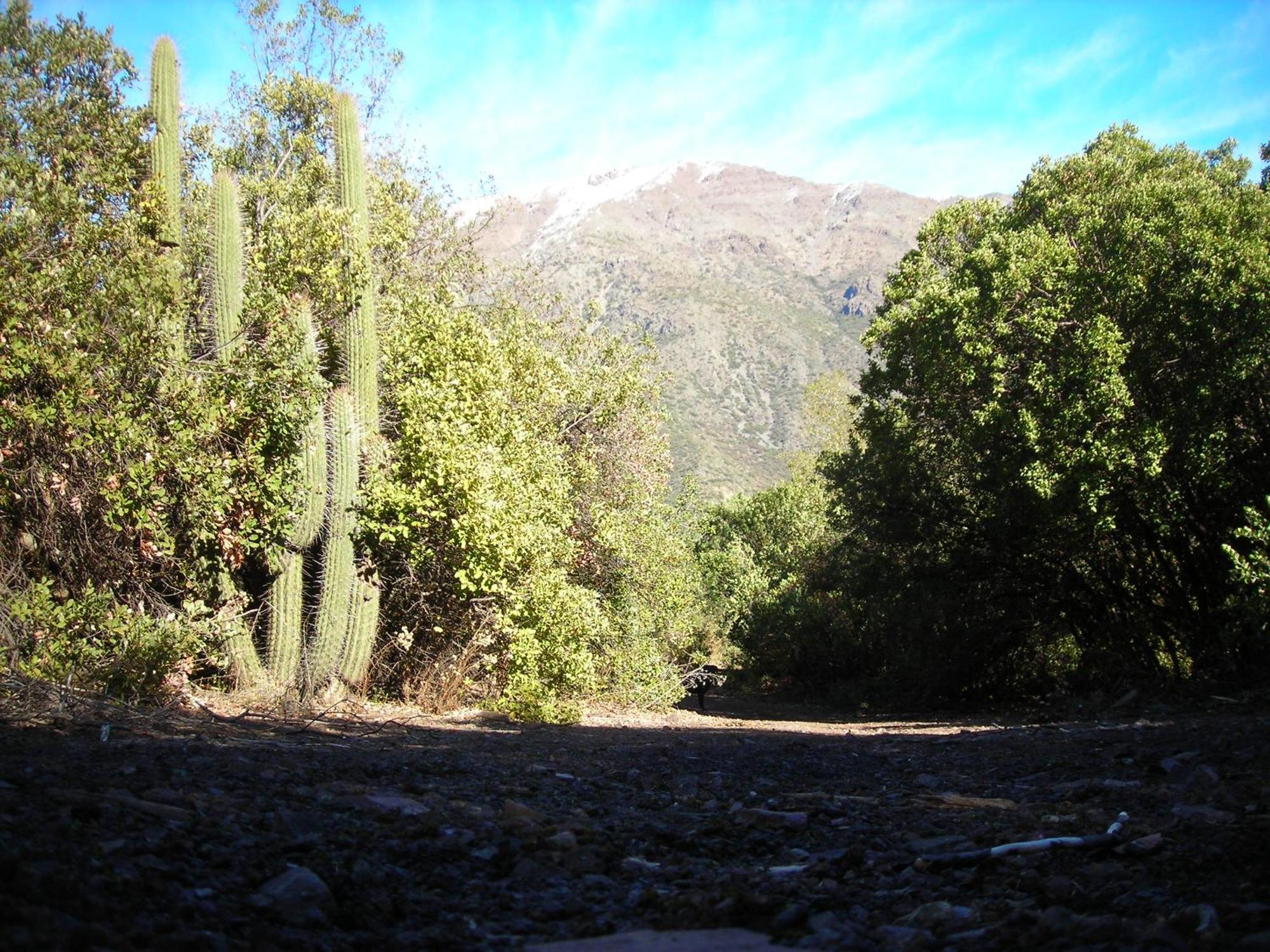Las Lomitas De Guayacan, Cabanas Y Spa San José de Maipo Exteriör bild